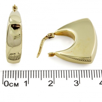 9ct gold 3.9g Hoop Earrings
